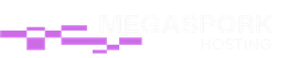 MegaSpork Technologies